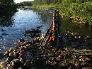 Открыть во весь экран, 184 Kb