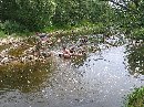 Открыть во весь экран, 191 Kb