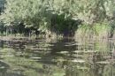 Открыть во весь экран