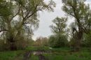 Открыть во весь экран