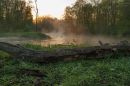 Открыть во весь экран