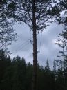Открыть во весь экран