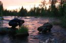 Открыть во весь экран