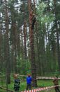 Открыть во весь экран