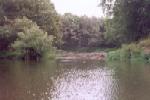 Открыть во весь экран, 142 Kb