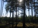 Открыть во весь экран, 168 Kb