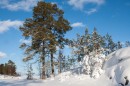 Открыть во весь экран