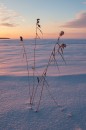 Открыть во весь экран