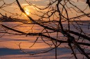 Открыть во весь экран