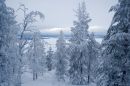 Открыть во весь экран