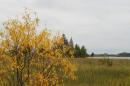 Открыть во весь экран